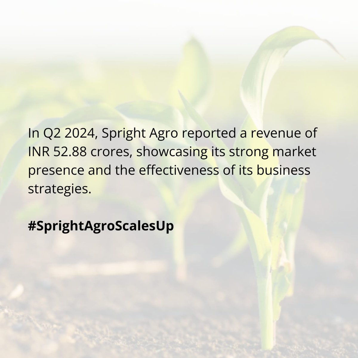 Patilanjali2's tweet photo. Guys with a focus on expanding its international market presence, Spright Agro explores new opportunities for exporting its premium agricultural products. #SprightAgroScalesUp https://t.co/btbVv0PjDv