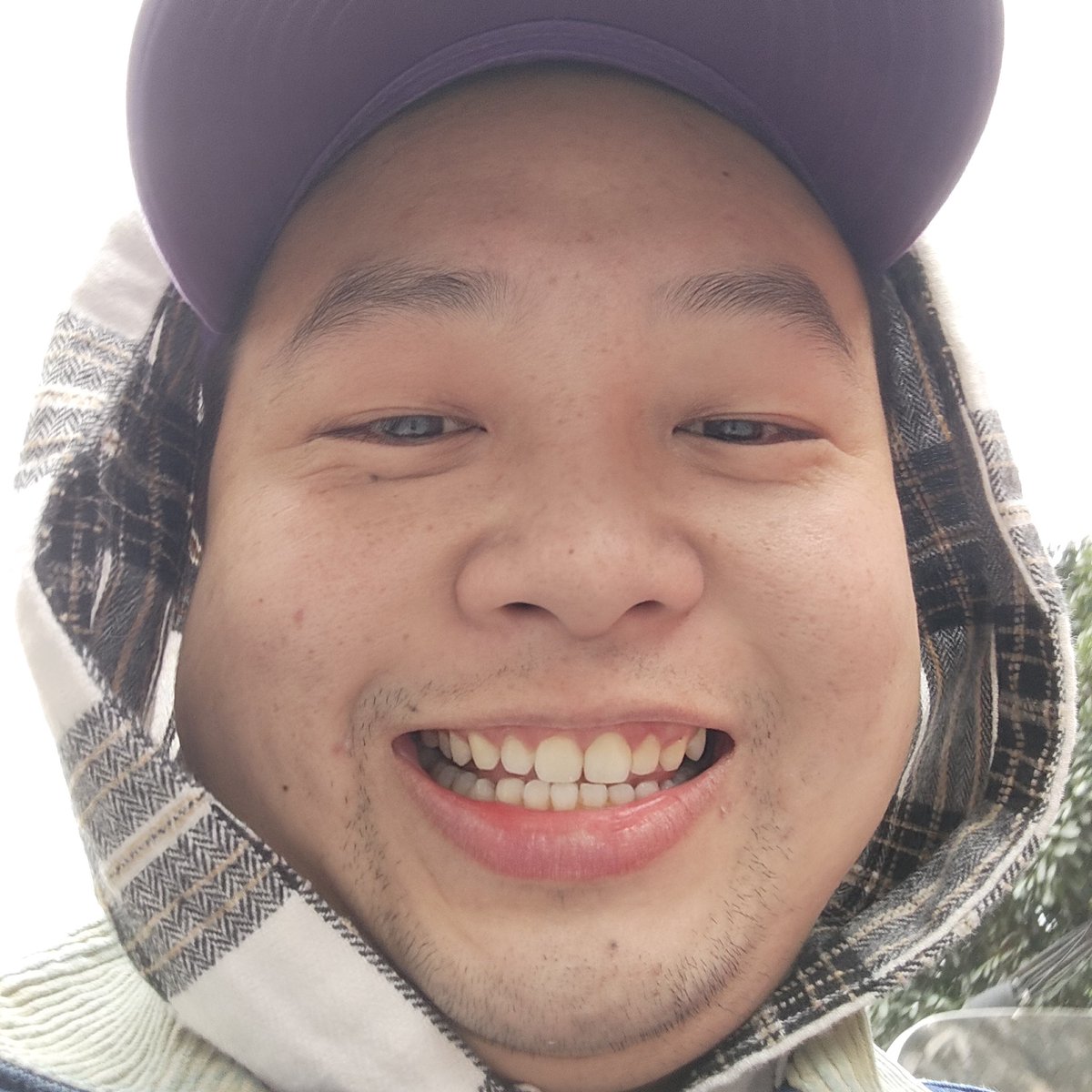 Zhu Todd tweet media