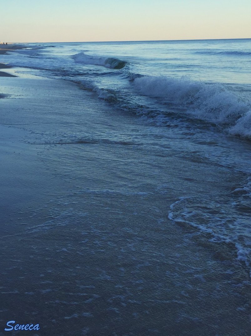 BirdsFlyAbove's tweet image. Good night! Sleep tight 😴✨ Sweet dreams! #goodnight #restfulsleep #Nature #Landscape #Landscapephotography