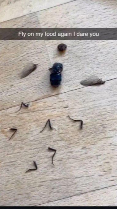 internet hall of fame tweet media