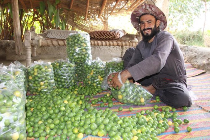 EUinAfghanistan (@euinafghanistan) on Twitter photo Via our partnership with <a href="/UNDPaf/">UNDP Afghanistan</a>, <a href="/FAOAfghanistan/">FAO in Afghanistan</a> & <a href="/IOMAfghanistan/">IOM Afghanistan</a>, The EU is building #resilience and #foodSecurity for rural communities in Kandahar, Helmand, and Badghis provinces of #Afghanistan.
#ClimateResilience
Read more 👇
tinyurl.com/etzx4vch Via our partnership with <a href="/UNDPaf/">UNDP Afghanistan</a>, <a href="/FAOAfghanistan/">FAO in Afghanistan</a> & <a href="/IOMAfghanistan/">IOM Afghanistan</a>, The EU is building #resilience and #foodSecurity for rural communities in Kandahar, Helmand, and Badghis provinces of #Afghanistan.
#ClimateResilience
Read more 👇
tinyurl.com/etzx4vch