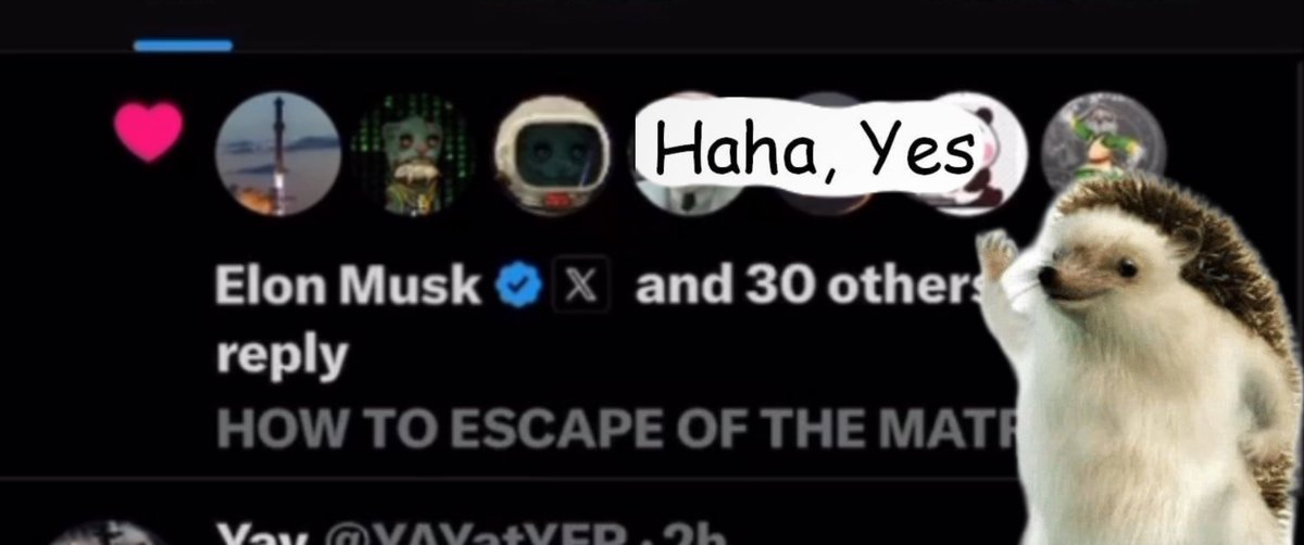 hahayes's tweet image. Looks like someone likes the memes 👀🦔