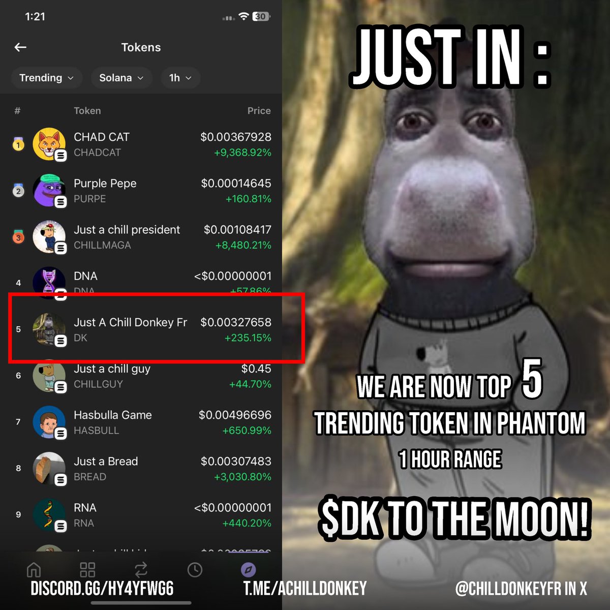 chilldonkeyfr's tweet photo. $DK 😫😫TOP 5 IN THE WORLD BEST COMMUNITY ON X $DK 🚀🚀💎🙌💰 https://t.co/FRbAdmu1Jh