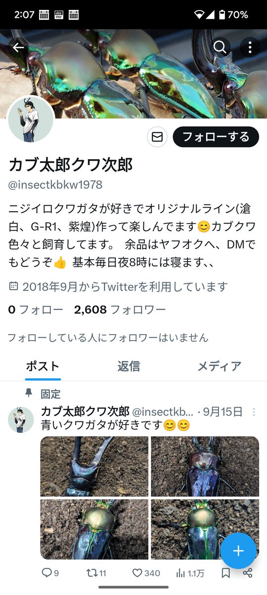 BREED　１１００菌糸ビン　３０本　凪太郎様 カブ太郎クワ次郎 (@1978insectkbkw) / Posts / X