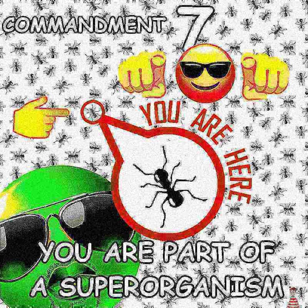 nuclearcomp's tweet image. Ant only has one goal:

populate more ants.