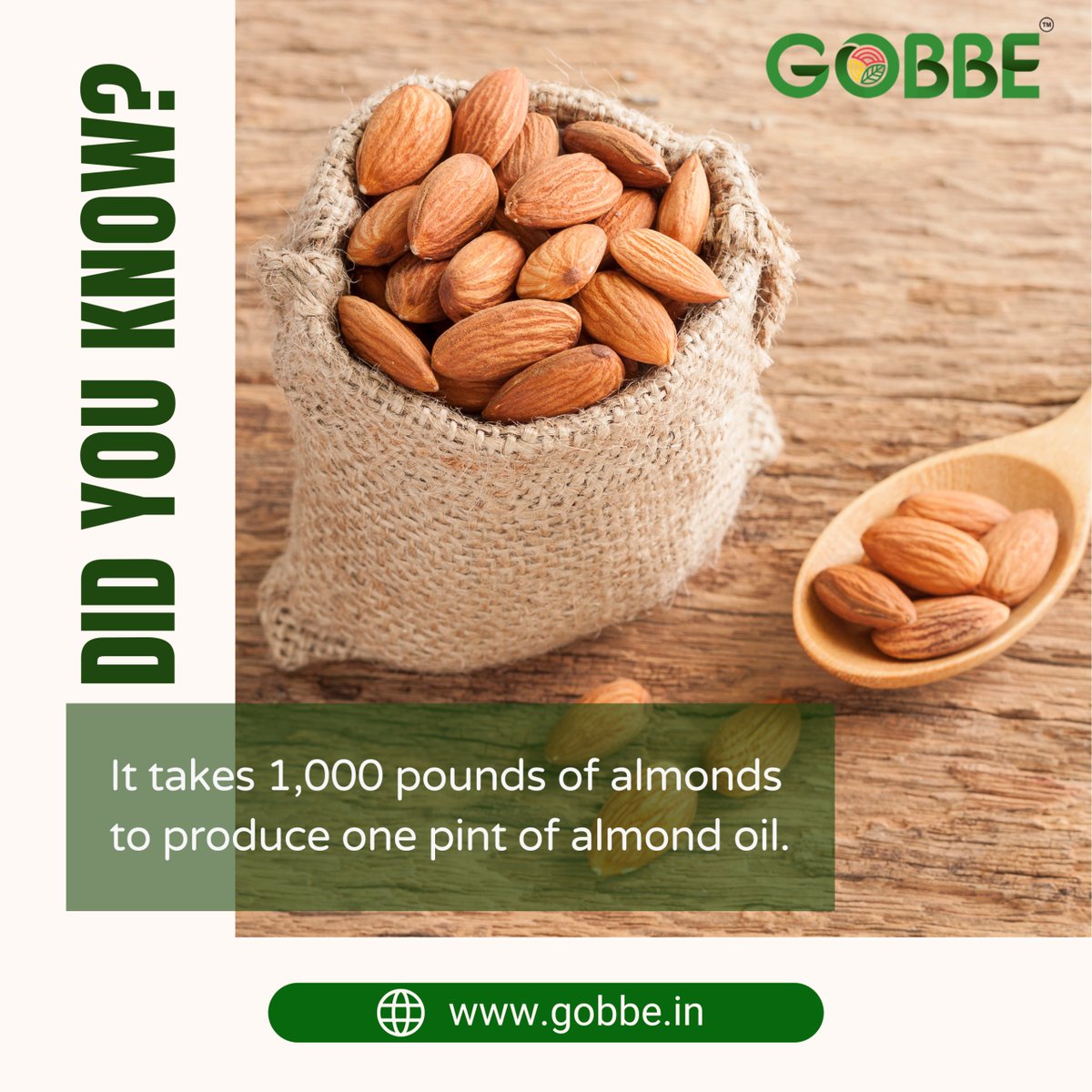 GobbeIndia's tweet photo. It’s nuts how much effort goes into one pint of almond oil—1000 pounds of it, to be exact! Crazy, right?

#gobbe #almond #didyouknow #healthyeating #healthyfoods #nuts https://t.co/DnBa65tapH