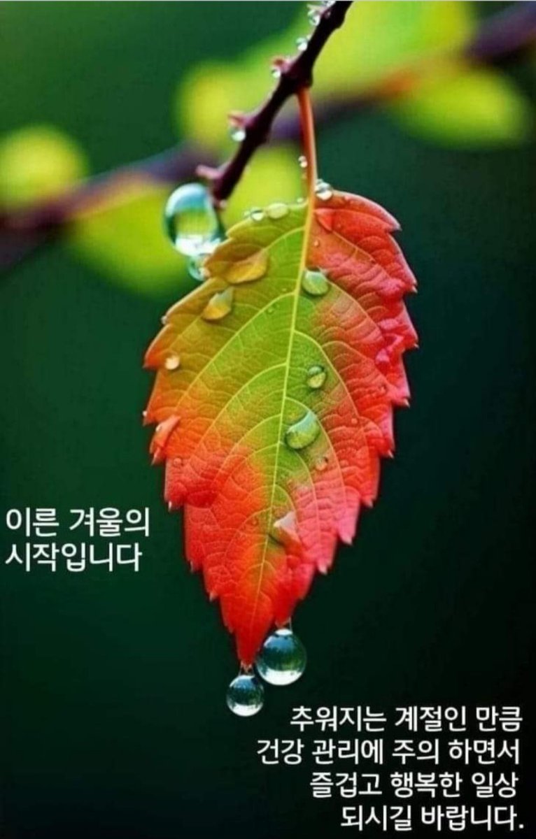 ok650908ok's tweet photo. https://t.co/ygs7iDGjss