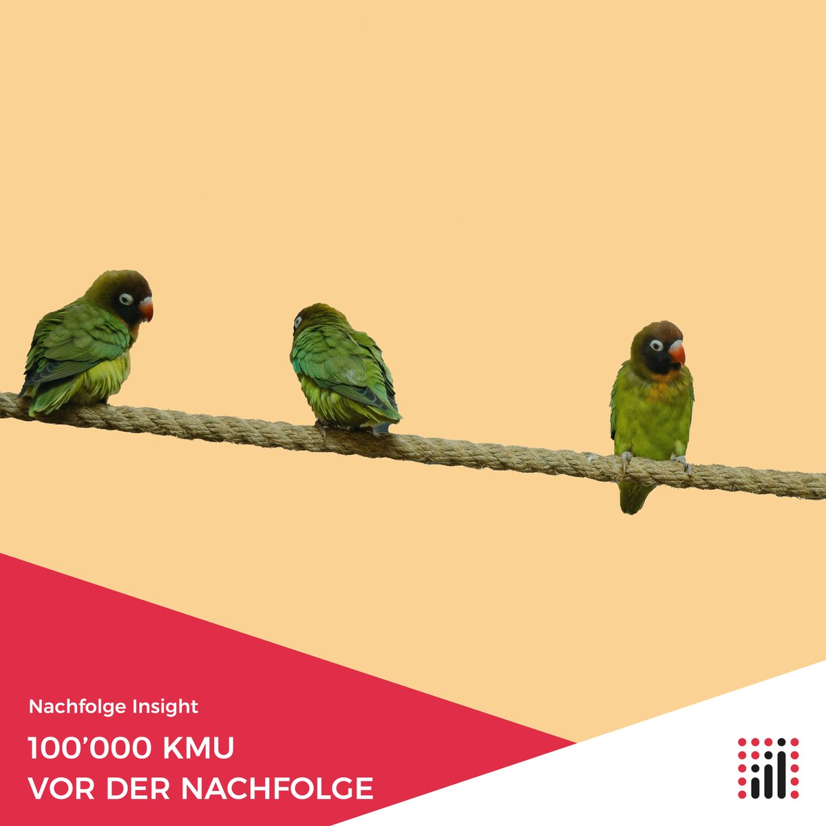 schmidpartner's tweet photo. Über 100'000 Schweizer KMU stehen vor der Nachfolge

 15,7% aller KMU in der Schweiz stehen vor einer potenziellen Nachfolgeregelung.

Ein Prozess, der Zeit braucht. Hier Sie zahlreiche Fachbeiträge zum Thema Nachfolgeplanung: https://t.co/w95k6GbgBL

#nachfolge #kmu https://t.co/MUh0YYvBfZ