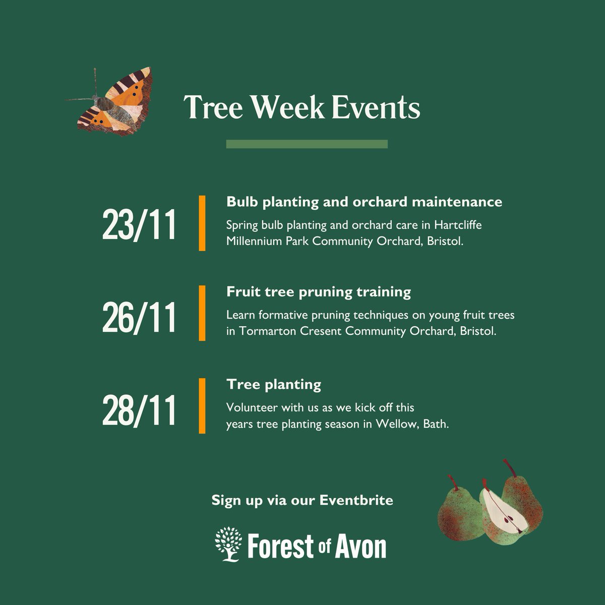 Join us for some tree-mendous events this National Tree Week…⁠
⁠
🍏 Tues 26th Nov - Fruit Tree Pruning Training in Bristol⁠
🌱 Thurs 28th Nov – Tree Planting near Bath⁠
⁠
Sign up through our Eventbrite page: eventbrite.co.uk/o/forest-of-av…

#nationaltreeweek #forestofavon⁠