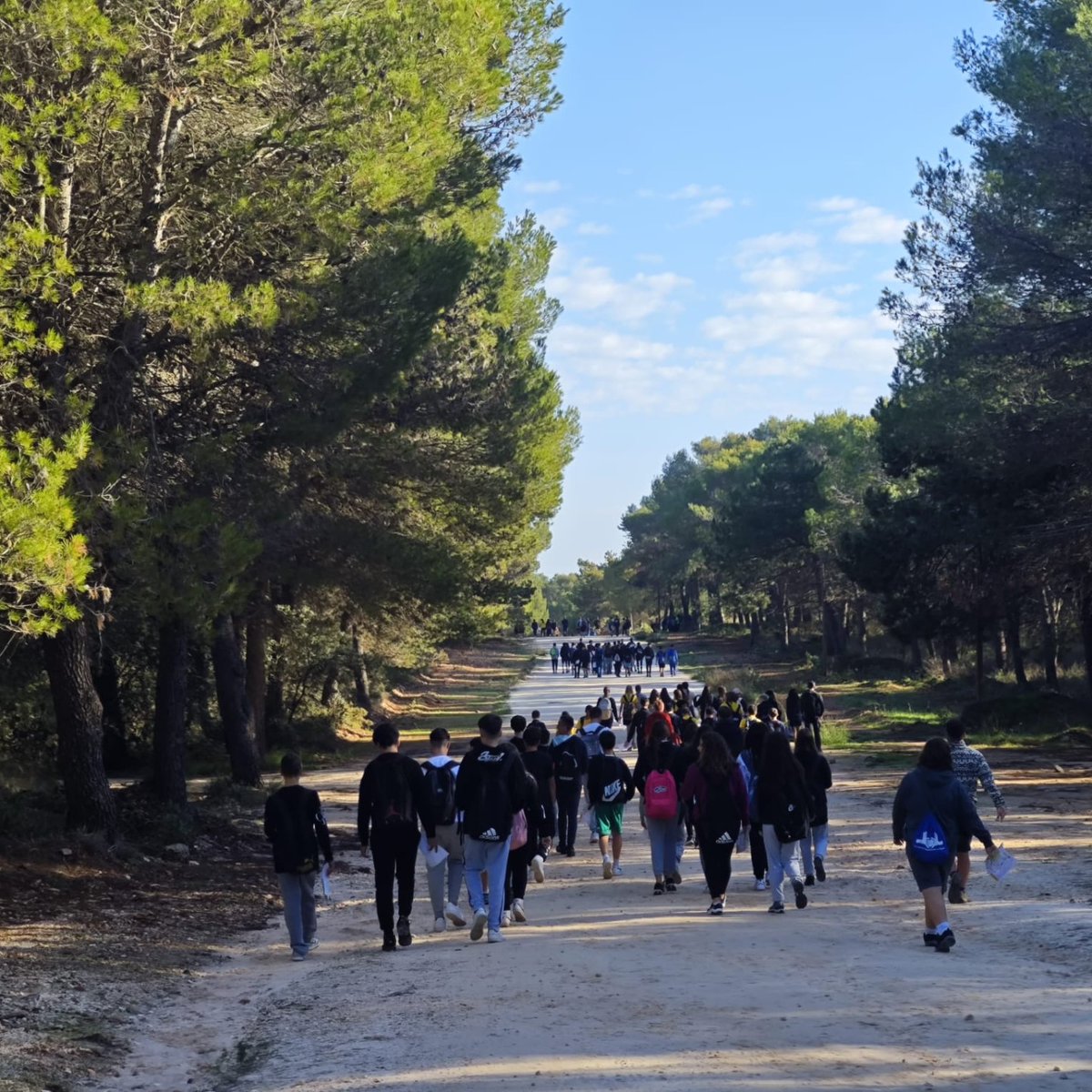 IESMarg_Salas's tweet photo. ORIENTACIÓN DEPORTIVA La semana pasada, el Dep. de Educación Física ha llevado a nuestro alumnado de 3°ESO y de 1°Bach. a Coín para participar en la Intercentros de Orientación Deportiva, organizada por el TECO de y el club COMA 
¡Ha sido todo un éxito! . https://t.co/ZaFem0FmV4