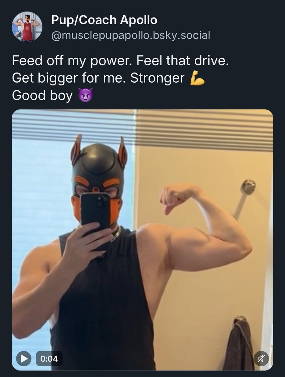 Coach Apollo tweet media