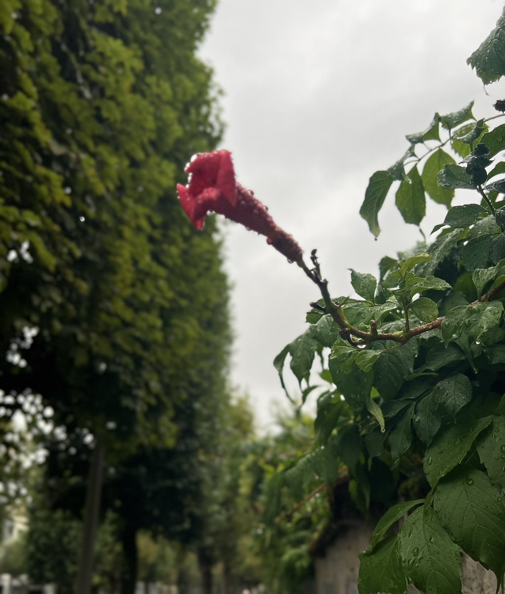 Good morning from Paris✨ 

New week, and we get back at it.

With positivity and motivation as always.

Stand out. Step up. Make it count.

Happy Monday ✨