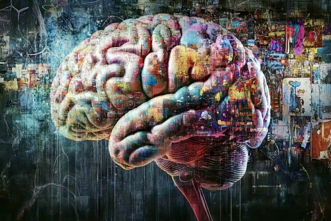enilev's tweet photo. 🧠 Our “Reptilian” #Brain Areas’ Role in #Emotion and #Social Skills
Source: @NorthwesternU
By @NeuroscienceNew
#Neurosciemce nce #Neurotech #fMRI #amygdala
👉https://t.co/EfHe9s6QNU
@IanLJones98 @mvollmer1 @Khulood_Almani @Shi4Tech @Fabriziobustama @efipm @SpirosMargaris @ahier @jblefevre60 @ipfconline1 @Fabriziobustama @gvalan @Nicochan33 @pierrepinna @CurieuxExplorer @bamitav @BetaMoroney @JimHarris @EvanKirstel @Eli_Krumova @TysonLester @KanezaDiane @Analytics_699 @dinisguarda @PawlowskiMario @margaretsiegien @JoannMoretti @FrRonconi @LavaletteAstrid @TanyaSinha_ @dez_blanchfield @RLDI_Lamy @HaroldSinnott @fogle_shane @drsharwood @GlenGilmore @sonu_monika @vanivina9 @EstelaMandela @AndrewinContact @anand_narang @pierrecappelli @sallyeaves @SabineVdL @labordeolivier @avrohomg @joana_ut @AkwyZ #MedTech #Digitalhealth
#seohashtag #HDScans
Credit: Neuroscience News