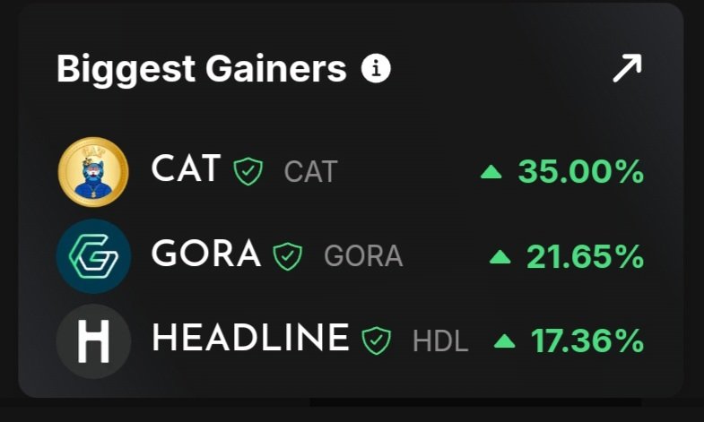 algocats tweet media