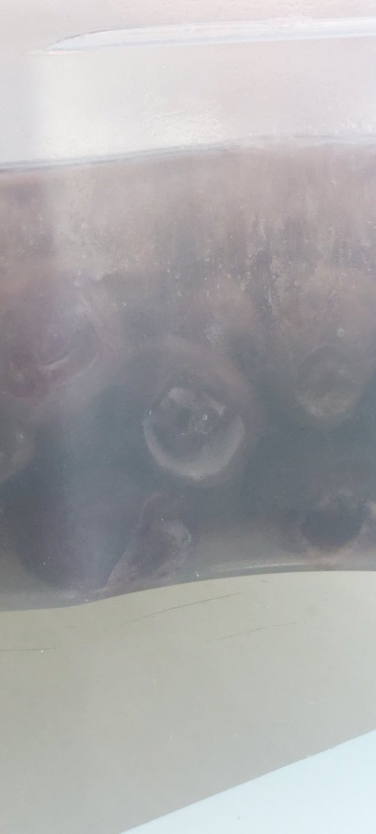 CAS_nopanic's tweet photo. Günaydın gülümsemeyle geçen tatlı güzel ve bereketli bir hafta olsun 🥰  😁  #zeytin #olive https://t.co/cGLmHnmbYq