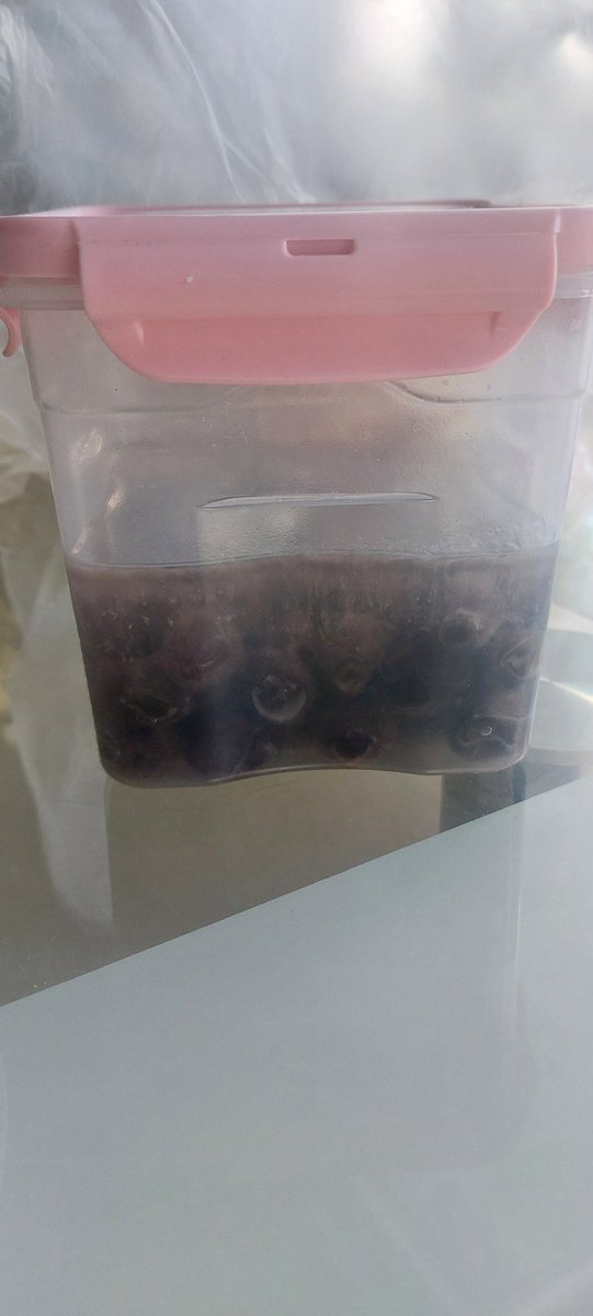CAS_nopanic's tweet photo. Günaydın gülümsemeyle geçen tatlı güzel ve bereketli bir hafta olsun 🥰  😁  #zeytin #olive https://t.co/cGLmHnmbYq