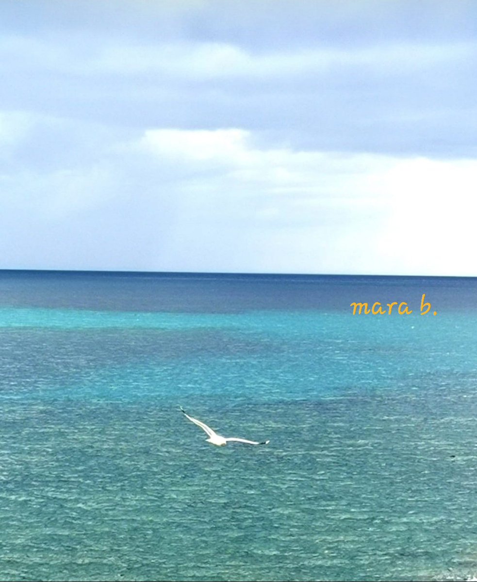 #VentagliDiParole

Dinanzi al mare
È forse la lontana linea dell'orizzonte,
lo sciabordio delle onde,
l'azzurro..
Dinanzi al mare
il dolore non ha dimora.

M.L. Del Zompo