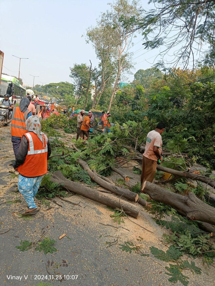 vinay_vangala's tweet image. Hyderabad following footsteps of Delhi on AQI! 
400+ trees officially killed on Bachupally - Miyapur Road widening!
Trees r chopped down n @HarithaHaram teams failed to take stringent actn wn reportd!
@revanth_anumula
@dobriyalrm
@HiHyderabad
 @revathitweets
#SaveFullyGrownTrees