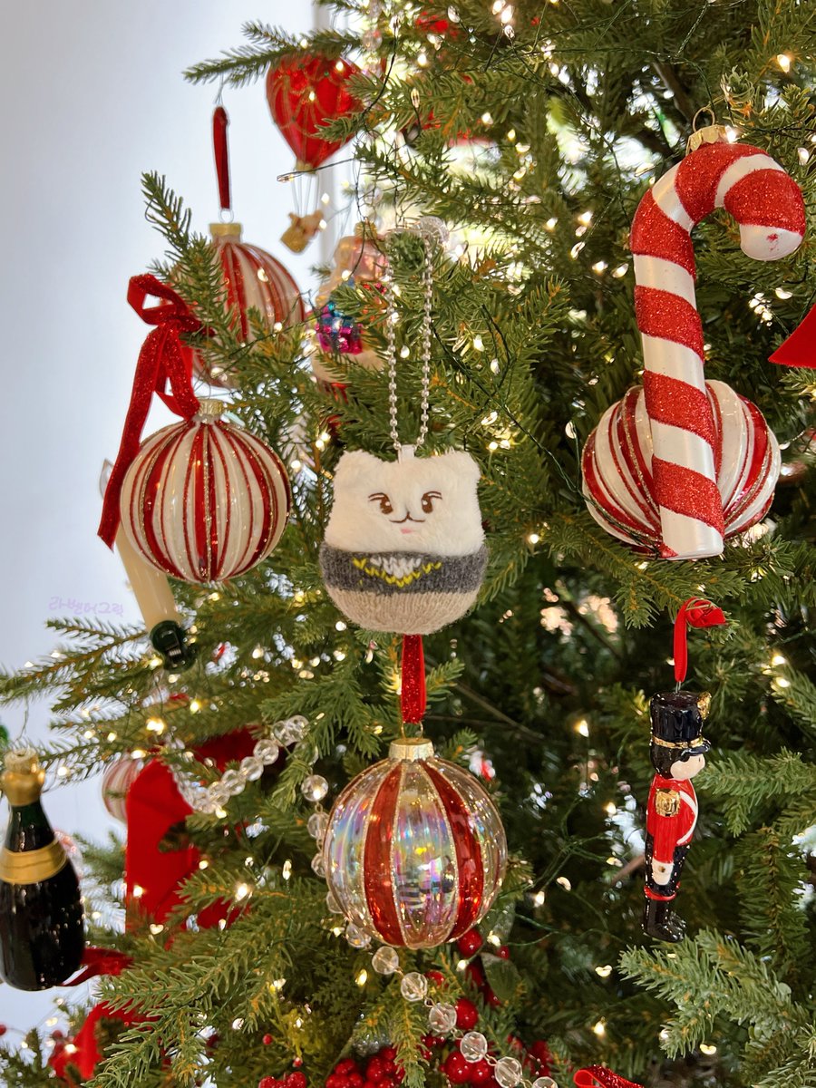 성운시

하성운은 크리스마스 같아
크리스마스는 날 설레게 하거든