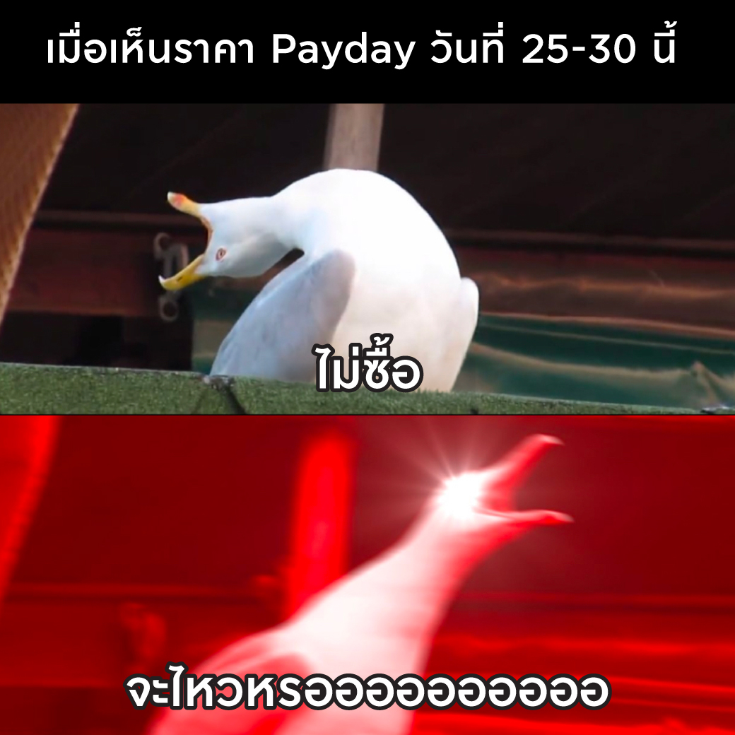 อ๊ากกกกกกกกกก ราคาดีขนาดนี้ไม่ซื้อไหวหรอ 🎉😍

👉 ดีดเดือดขนาดนี้ ช้อปได้ที่ลาซาด้า Payday 25-30 พ.ย. นี้ เท่านั้น!
🛒ช้อปเลยที่ลาซาด้า ✨

#LazadaTH #LazadaPayday #Payday #ดีลช้อปทุกวันยันสิ้นเดือน #ลาซาด้าราคาดีกว่าไม่ต้องเทียบ