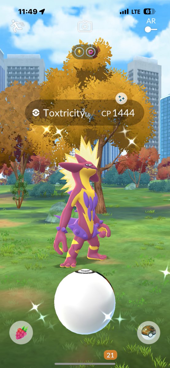 SilverFox242422's tweet photo. Both shinies + a hundo + a shiny dynamax 🤩 not bad for being sick saturday 🤒 
#PokemonGO #ShinyToxtricity https://t.co/fNydAGFHLH