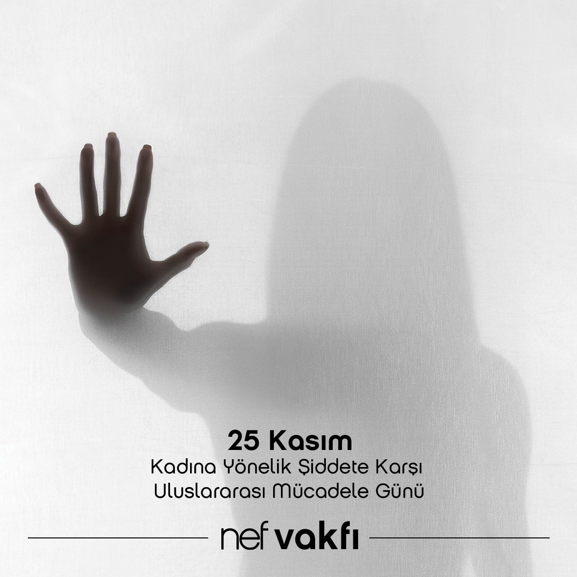 nef vakfı tweet media