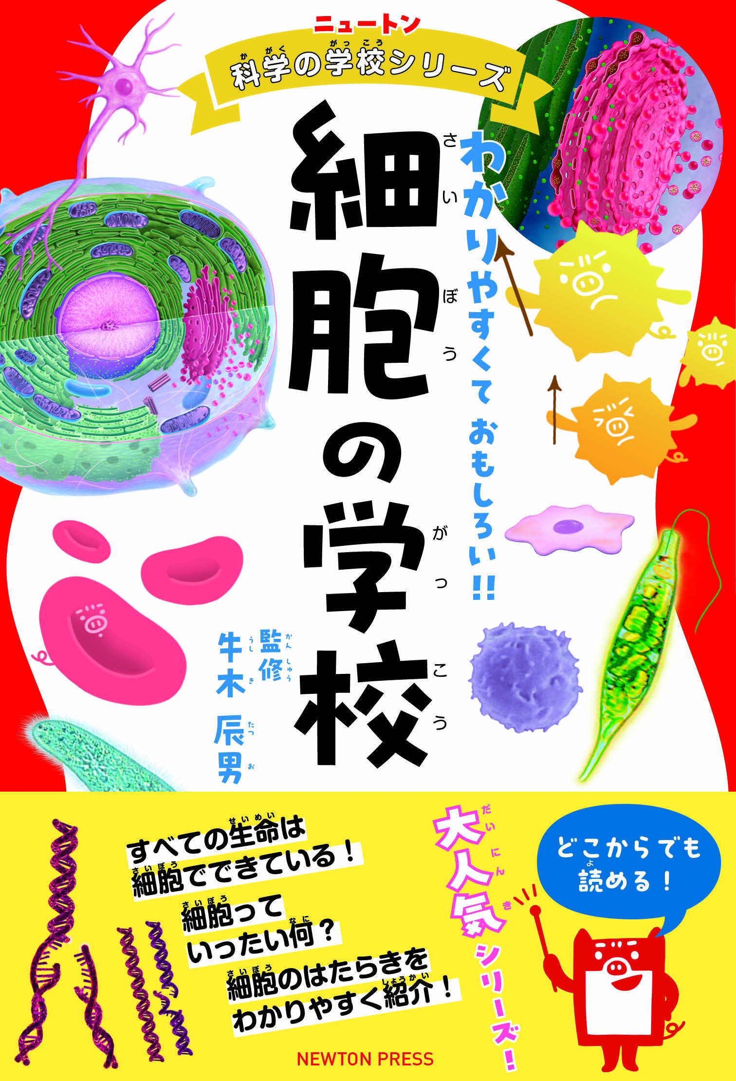 科学雑誌Newton（ニュートン）公式 on X: 