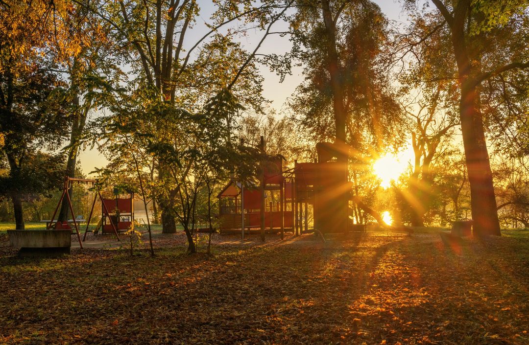 🔁📸 Coucou tout le monde ! 👋

Comme chaque lundi matin, c'est l'heure de notre #repost de la semaine 🍁  avec aujourd'hui de magnifiques couleurs automnales à La Chapelle-Saint-Mesmin 🧡

Merci à instagram.com/imagines.photo pour ce joli cliché 😉 #OrléansMétropole