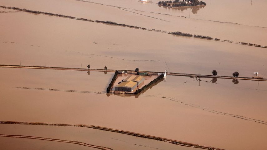 apunt_media's tweet photo. Estes són imatges de l’Albufera després de la DANA, un desastre ecològic sense precedents per al parc natural. 

La barrancada ha convertit en un abocador d’electrodomèstics, residus industrials i fang. Llig el reportatge: https://t.co/0EpRBRDk7m https://t.co/LQQ0wtyZhg