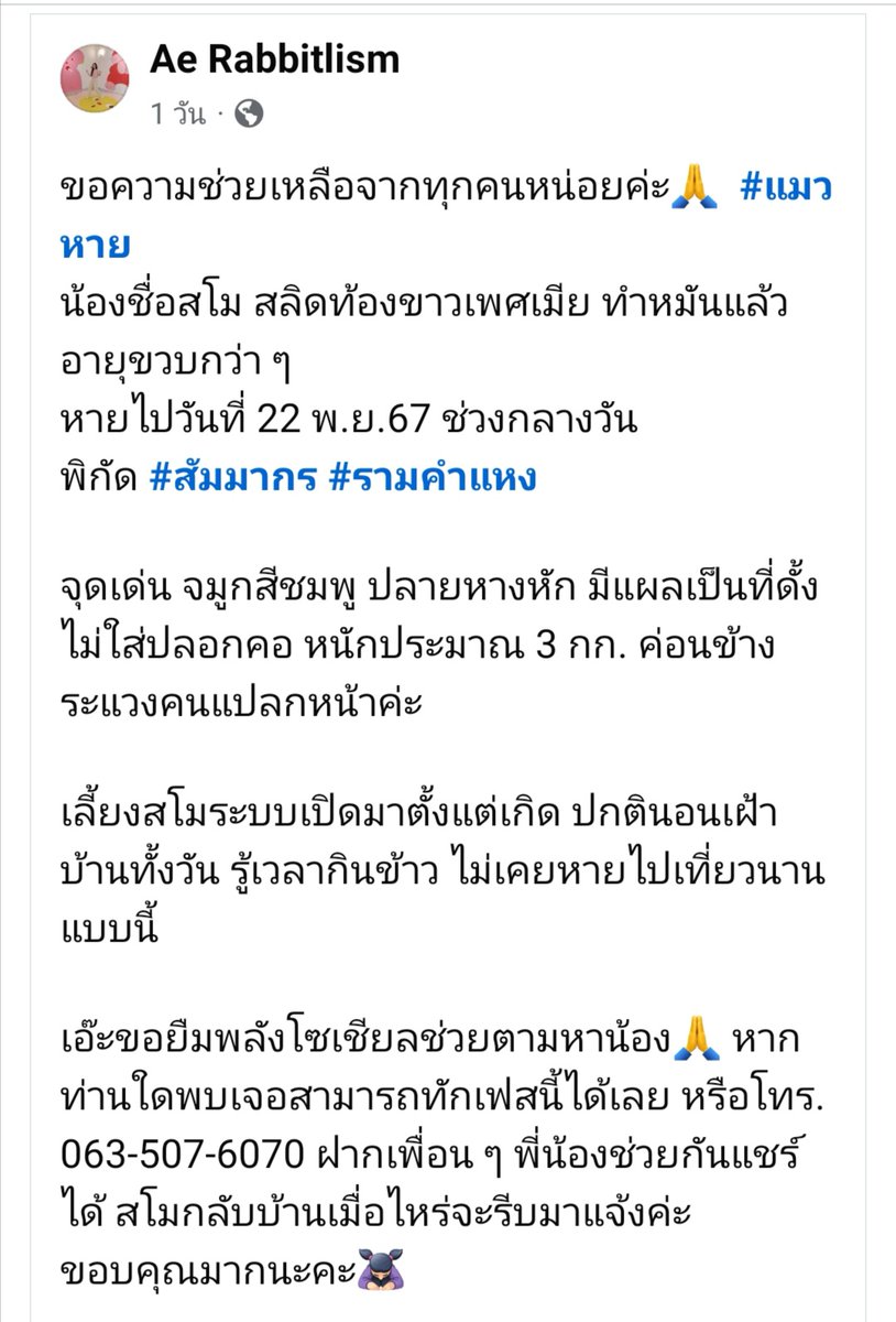 usaginisan's tweet photo. #แมวหาย ฝากช่วยรีหน่อยนะคะ🙏
หากใครพบเจอน้อง รบกวนช่วยเดมหาเราหรือติดต่อเฟสที่แคปมาได้เลยนะคะ ขอบคุณมากค่ะ🙇
#ตามหาแมว #แมวหลง #สัมมากร #รามคําแหง #สะพานสูง #กรุงเทพกรีฑา #บ้านทับช้าง #รามคำแหง110 #รามคำแหง112 #หมู่บ้านสัมมากร https://t.co/ktQQhsDDG9