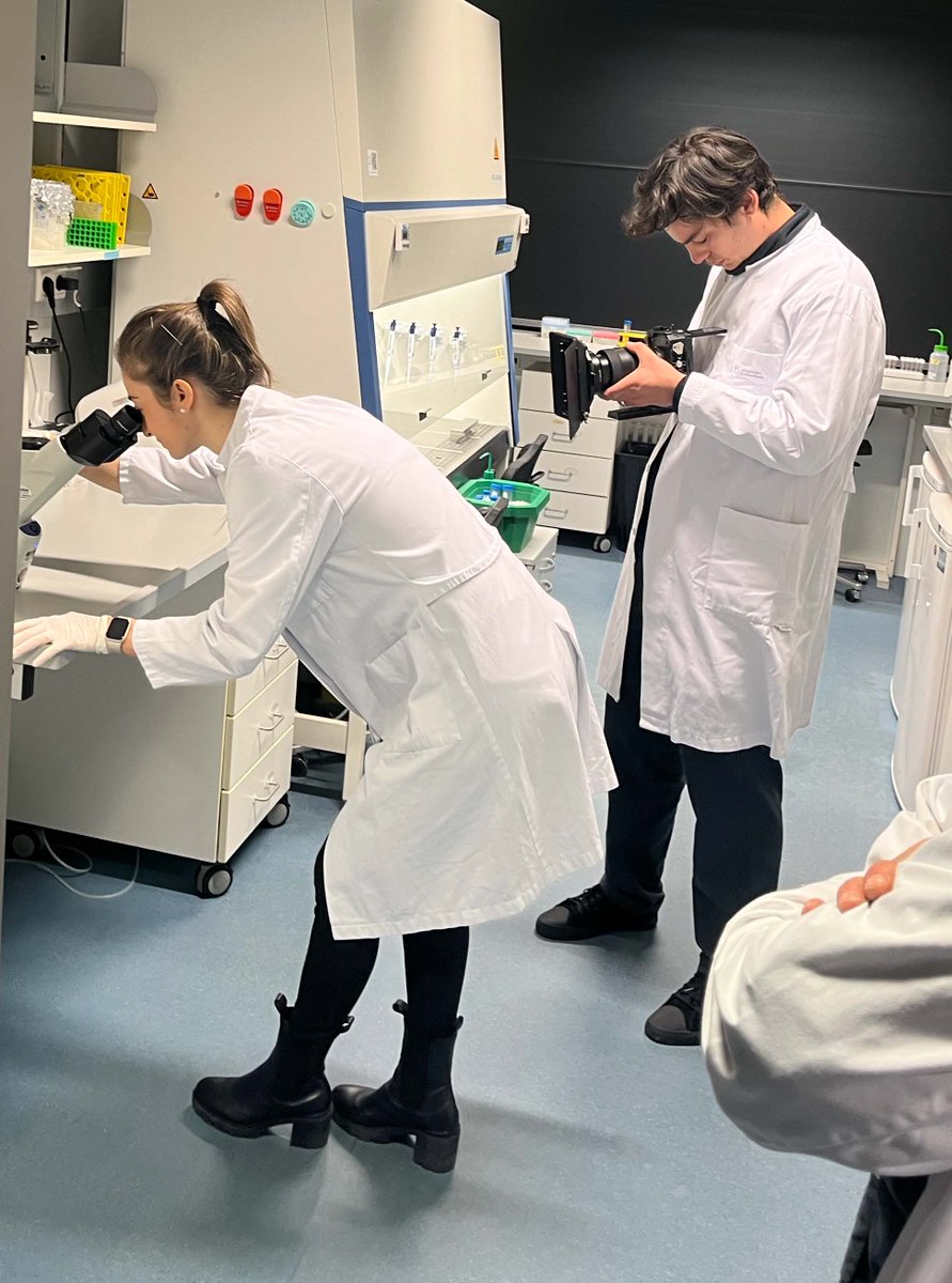 Lights, camera, action!

A few days ago, we filmed some video material for social media. We are going to expand our social media presence by launching new channels soon. We want to use these new platforms to highlight the work and lives of young immunologists. 

Stay tuned! 🎬