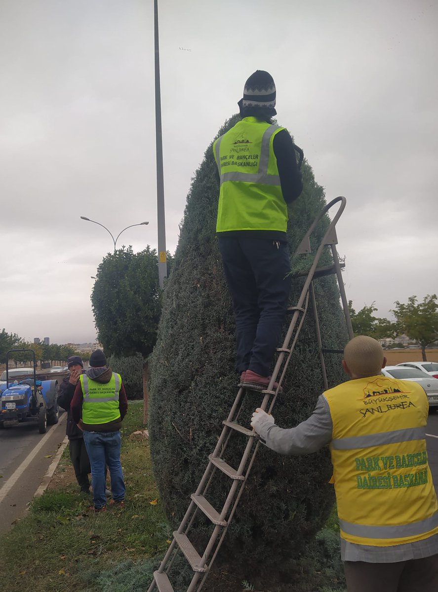 SbbPark's tweet photo. 📍15 Temmuz Demokrasi Bulvarı ❤️

Park ve Bahçeler Daire Başkanlığına bağlı ekiplerimiz; 🚧👷

Mevsimsel Bakım ve Form Budama çalışmalarını sürdürmektedir.🌳

@sanliurfabld 
@MithatCanKutluc 
@halilaldeniz_ 
@urunyahya 
@Tuba_Yaygin 
@mesuthicri https://t.co/FEUL9SBwcr