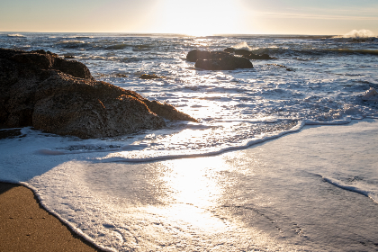 Scheduled to be released in the summer of 2025, FIFA Rivals will allow gamers to manage their own soccer clubs and compete against other players in real-time arcade gameplay.