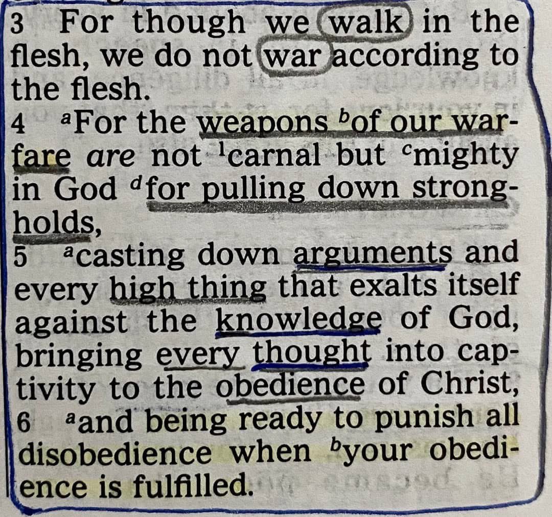 Dominic Muir tweet media