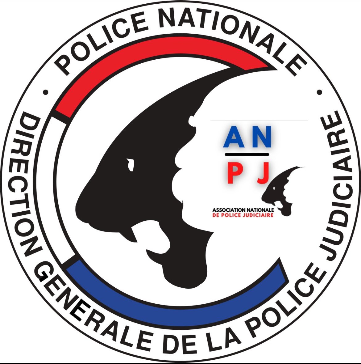 ANPJ - Secrétaire Général tweet media