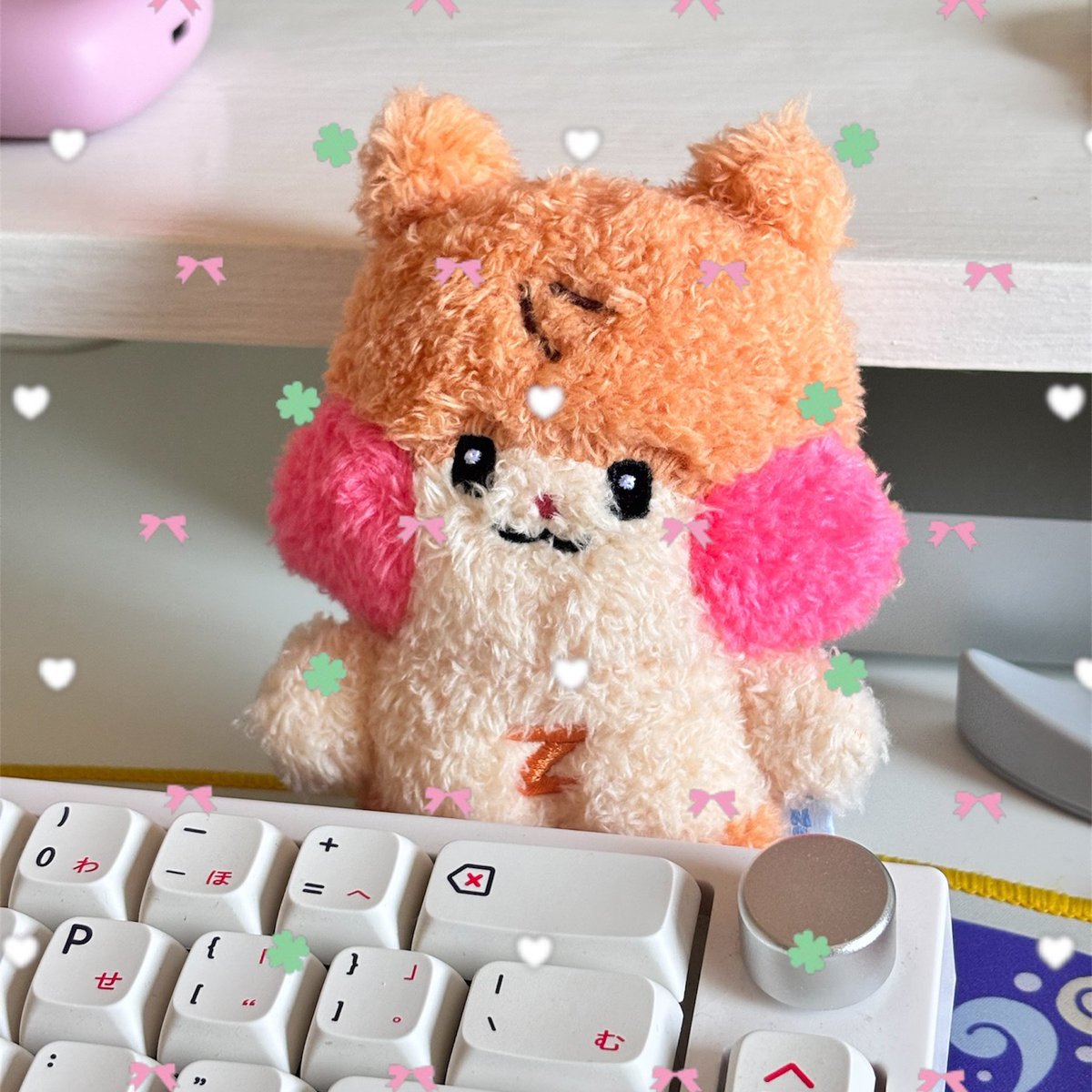 hwaforu's tweet photo. binini's homeee‼️🥺 #zerosenkyu 🩷🍀 https://t.co/CgPL37JrQa