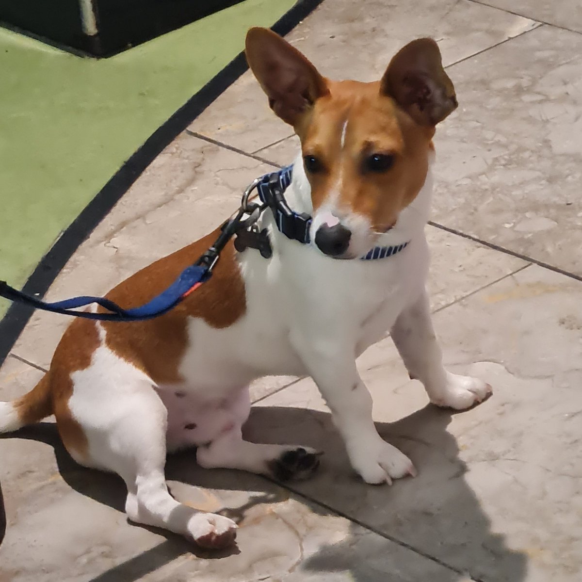 scary ruby innes tweet media