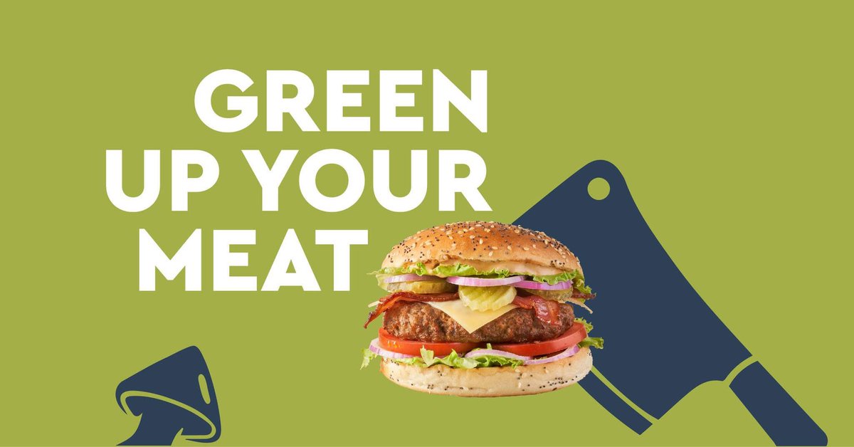 🍄👀✌
𝗪𝗲 𝗵𝗼𝗿𝗲𝗻 𝗵𝗲𝘁 𝗷𝗲 𝗱𝗲𝗻𝗸𝗲𝗻.....

Een oesterzwamvoetje???

Na het oogsten van het mooiste gedeelte van de oesterzwam blijft er een voetje over. Dat voetje is normaal gesproken niet mooi genoeg om door te gaan als food product.

Tot nu > <a href="/Beefy_Green/">BeefyGreen</a>