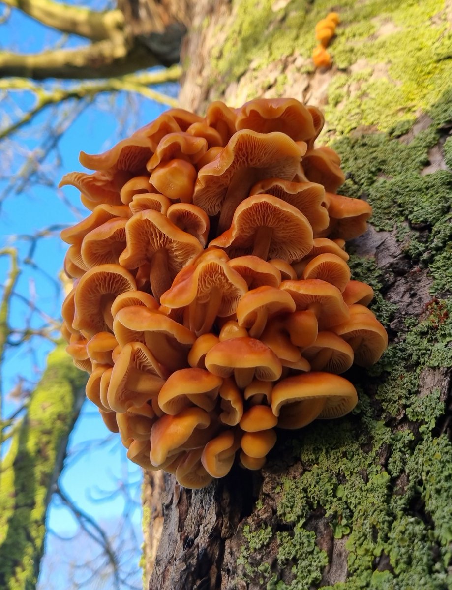 Life of the Bead Hermit tweet media