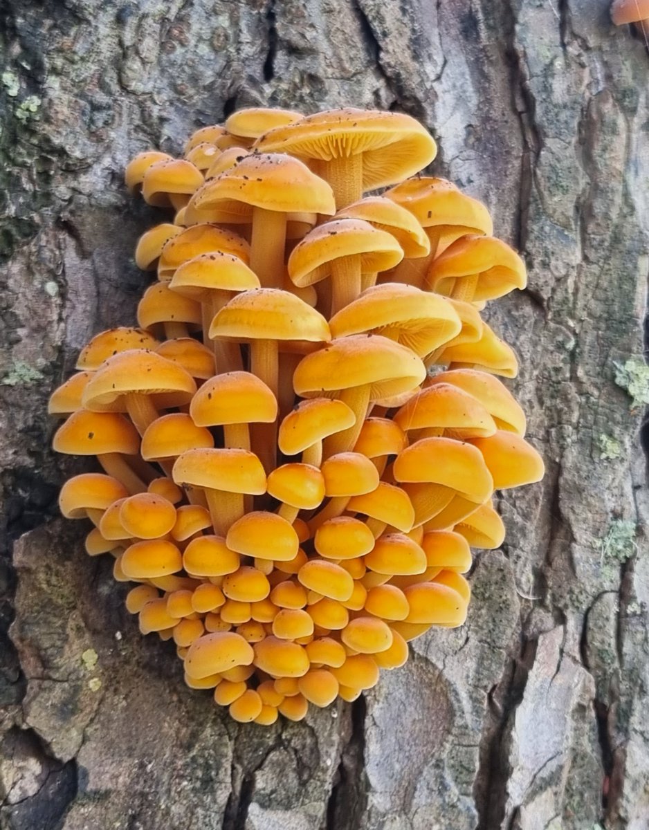 Life of the Bead Hermit tweet media