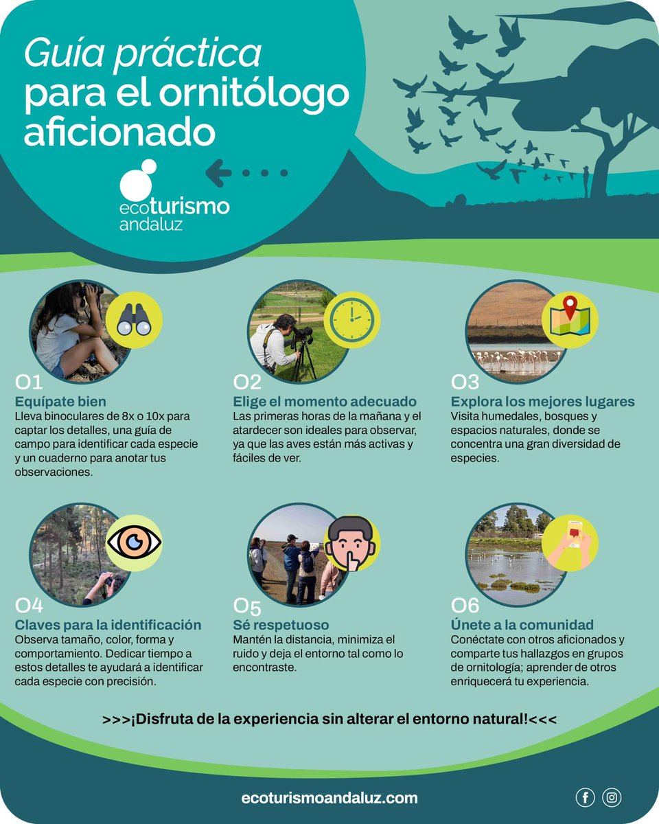 #Consejos para disfrutar de la #avifauna de manera responsable y efectiva. ¿Añadirías alguno más? #ecoturismoandaluz