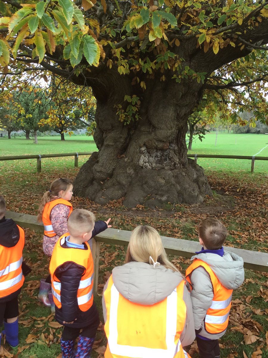 This term Reception classes have been developing their roles as geographers. 
During our trip to Buckingham Park the children completed a spotter sheet to identify human and physical features and we took part in a 'natural treasures' leaf hunt!
Thank you to our parent helpers🍂