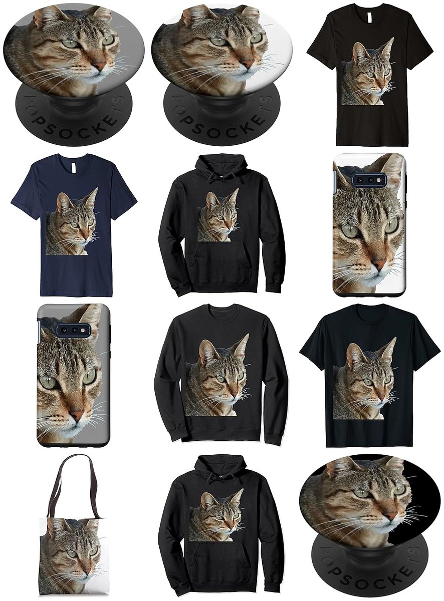 TaicheTees's tweet photo. Stunning Tabby Cat Close Up Portrait Vector #TShirt #Clothing #taiche #greytabby #cats #catsofX #greycat #cat #graytabby #graycatsofX #greycat #tabbycat #catlife #tabbycat #tabbycatsrule #catlovers #meow #caturday #giftideas https://t.co/r0FlJSB328 https://t.co/gLuPKAWo2I