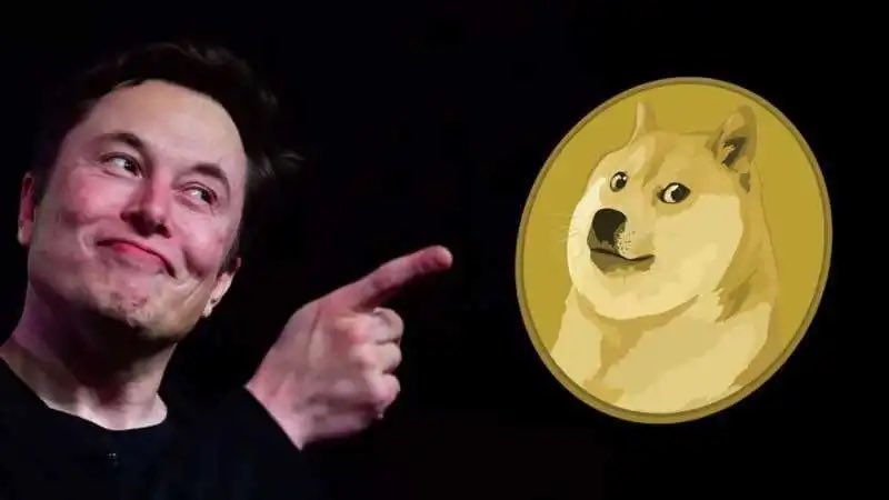 DogecoinRise's tweet photo. Are you a $DOGE holder ?

Drop your address for a surprise when #Dogecoin reaches $1 👀! https://t.co/Hf8oVHagoW