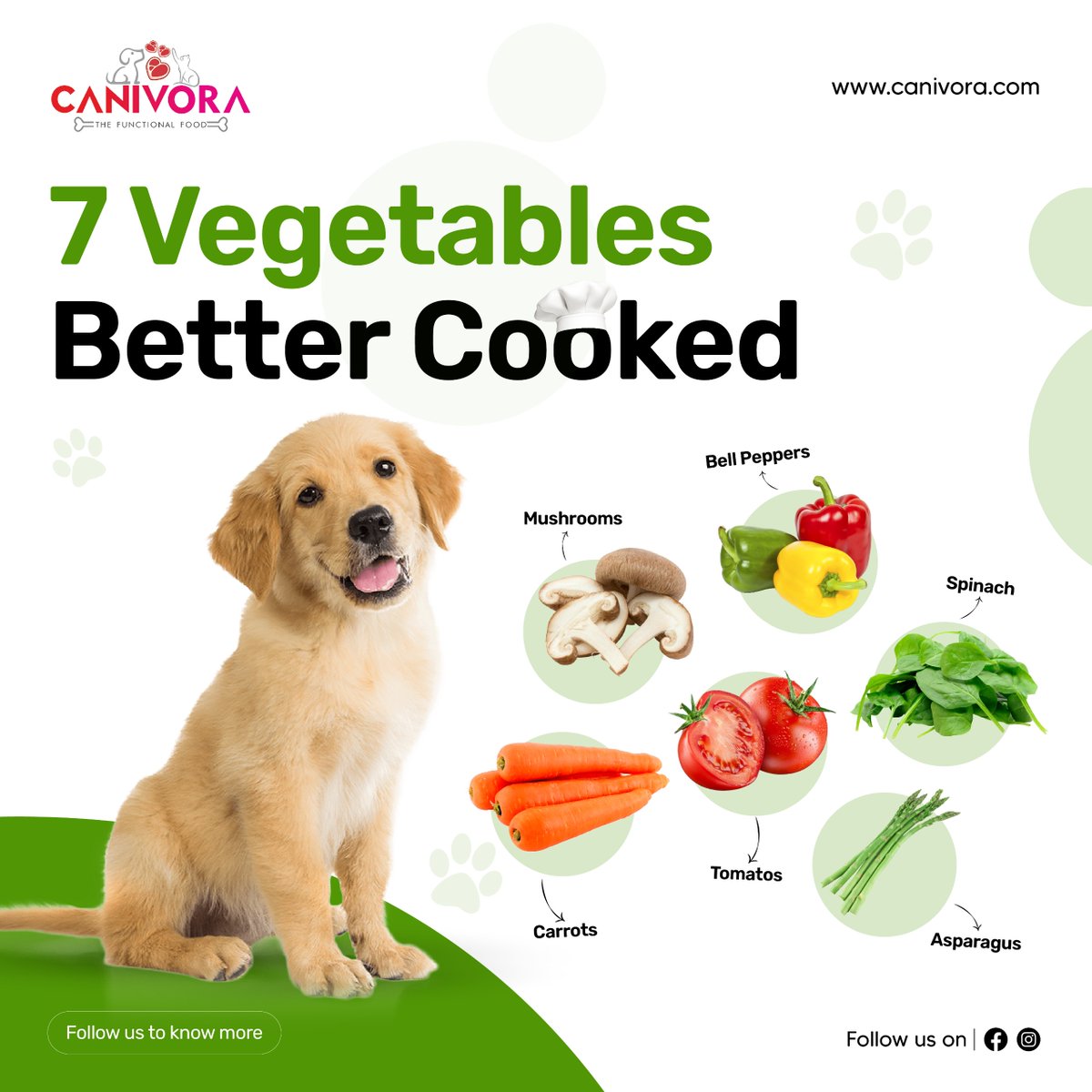 canivora's tweet photo. Boost your pup’s health with steamed veggies like carrots, spinach &amp; mushrooms! Easier to digest &amp; packed with nutrients for a happy, healthy dog.
.
.
#doghealth #healthypuppy #vegetablesfordogs #steamedveggies #dognutrition #petwellness #caninediet #healthyeating https://t.co/ytA6H5ZOLx