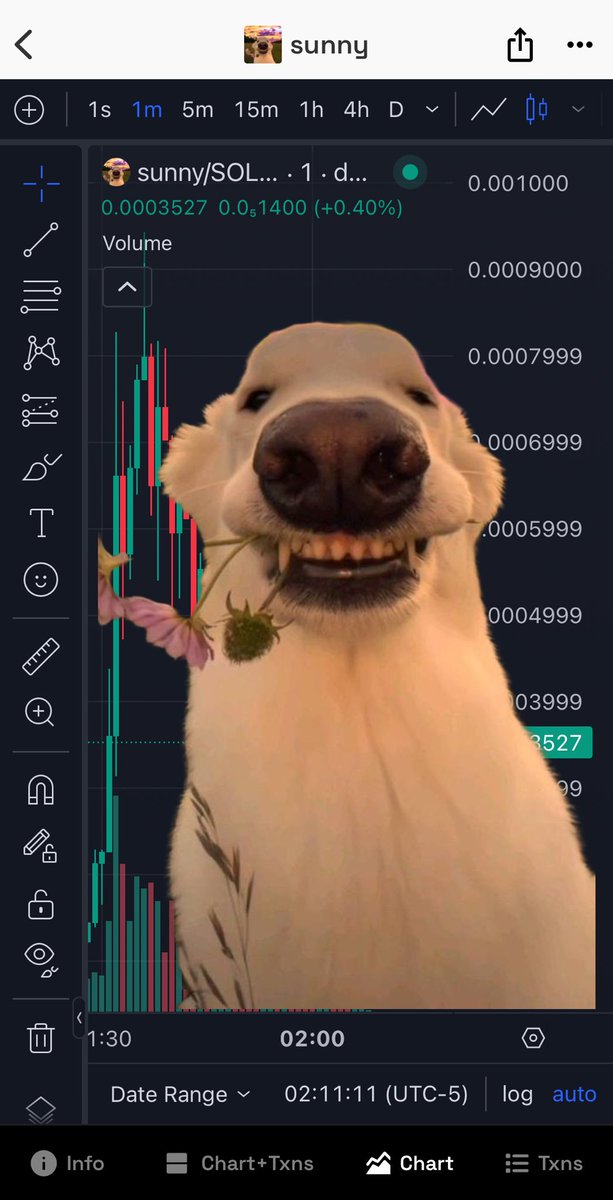 mrs_toes_'s tweet image. Step away from the chart and LOOK AT $SUNNY 

She’s a cutie from tik tok that instantly increases dopamine