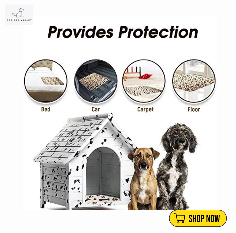 dogbedvalley's tweet photo. ✨ Attention pet parents! 🐶 Our Waterproof Reusable Mats are here to rescue your floors! Made with a quilted design and absorbent core, they make house training a breeze. What's your go-to method for keeping a tidy home?
👉 Shop Now: https://t.co/C5zhtJ8RQ0 https://t.co/f3qyUyNJgY