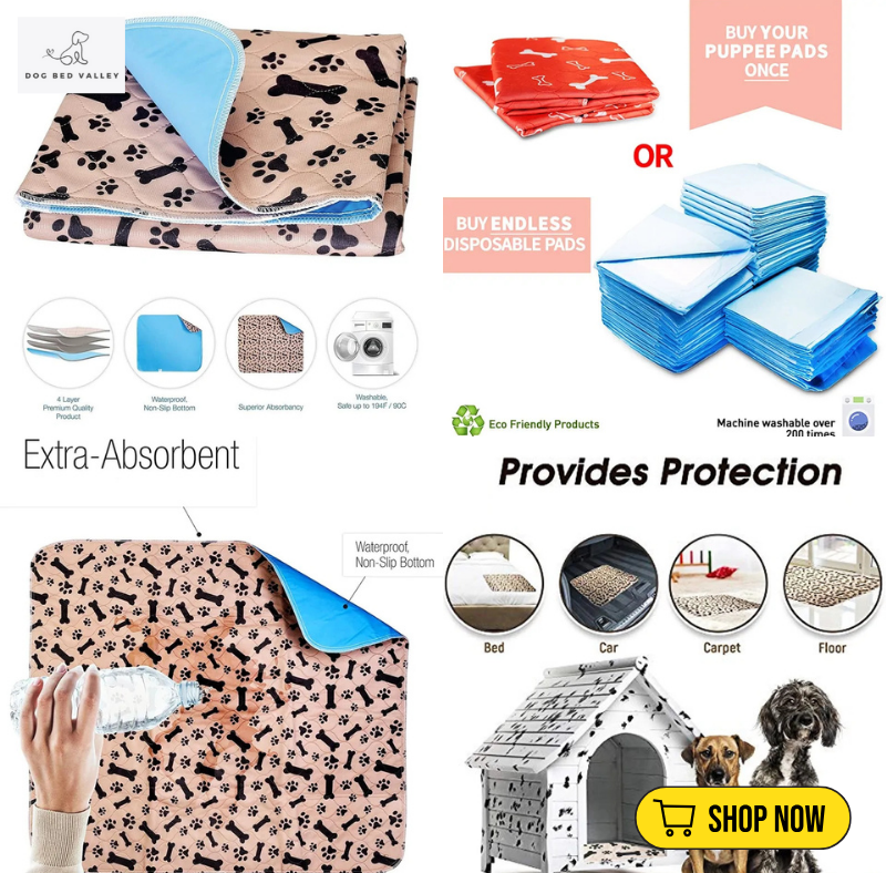 dogbedvalley's tweet photo. ✨ Attention pet parents! 🐶 Our Waterproof Reusable Mats are here to rescue your floors! Made with a quilted design and absorbent core, they make house training a breeze. What's your go-to method for keeping a tidy home?
👉 Shop Now: https://t.co/C5zhtJ8RQ0 https://t.co/f3qyUyNJgY