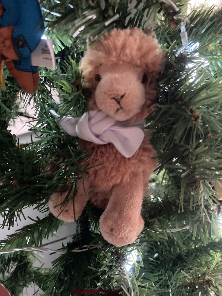 Nothing like getting ready for Christmas to remind myself that there’s no <a href="/bsicongress/">BSI Congress & Events</a> this year 😭😭