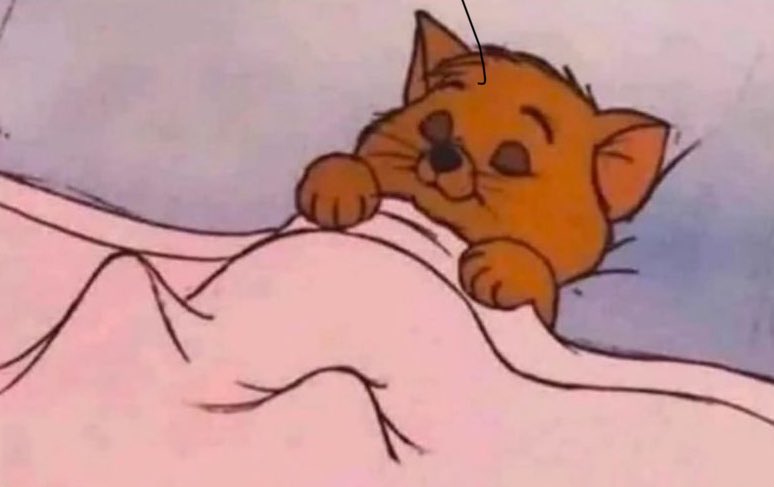 My favorite part of my day is when I’m in bed like this: